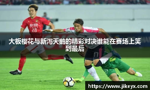 MK体育官方网站
