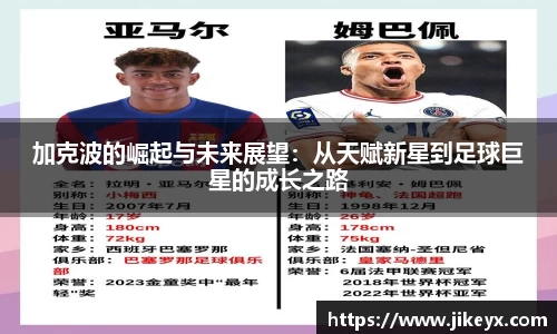 MK体育