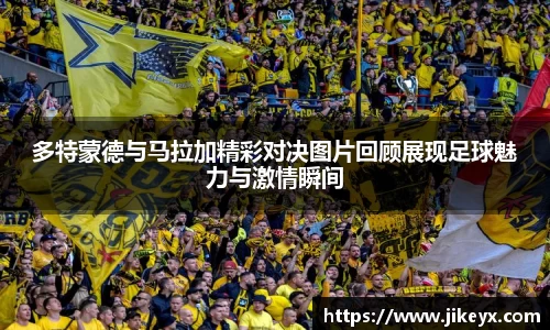 MK体育官网